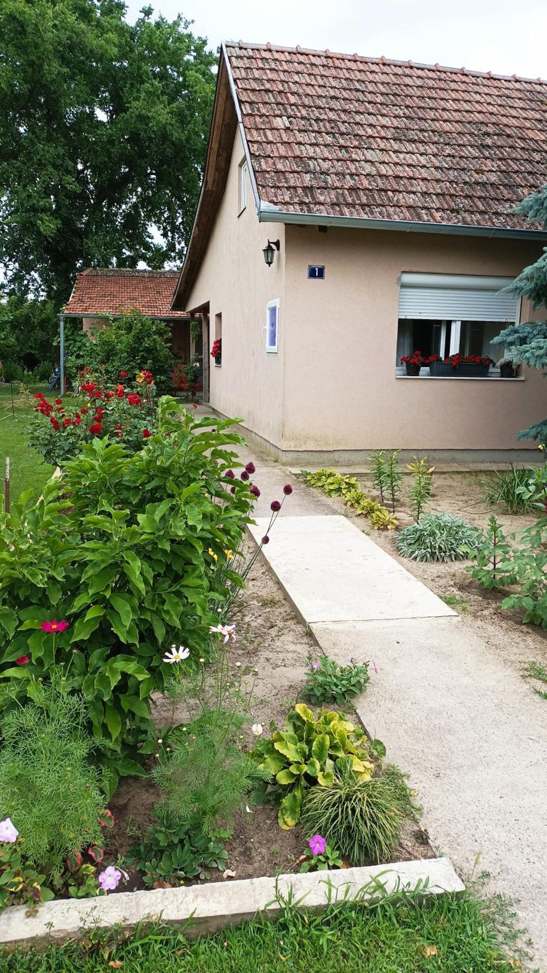 Maison d'hôtes Sobe Masa à Subotica Extérieur photo