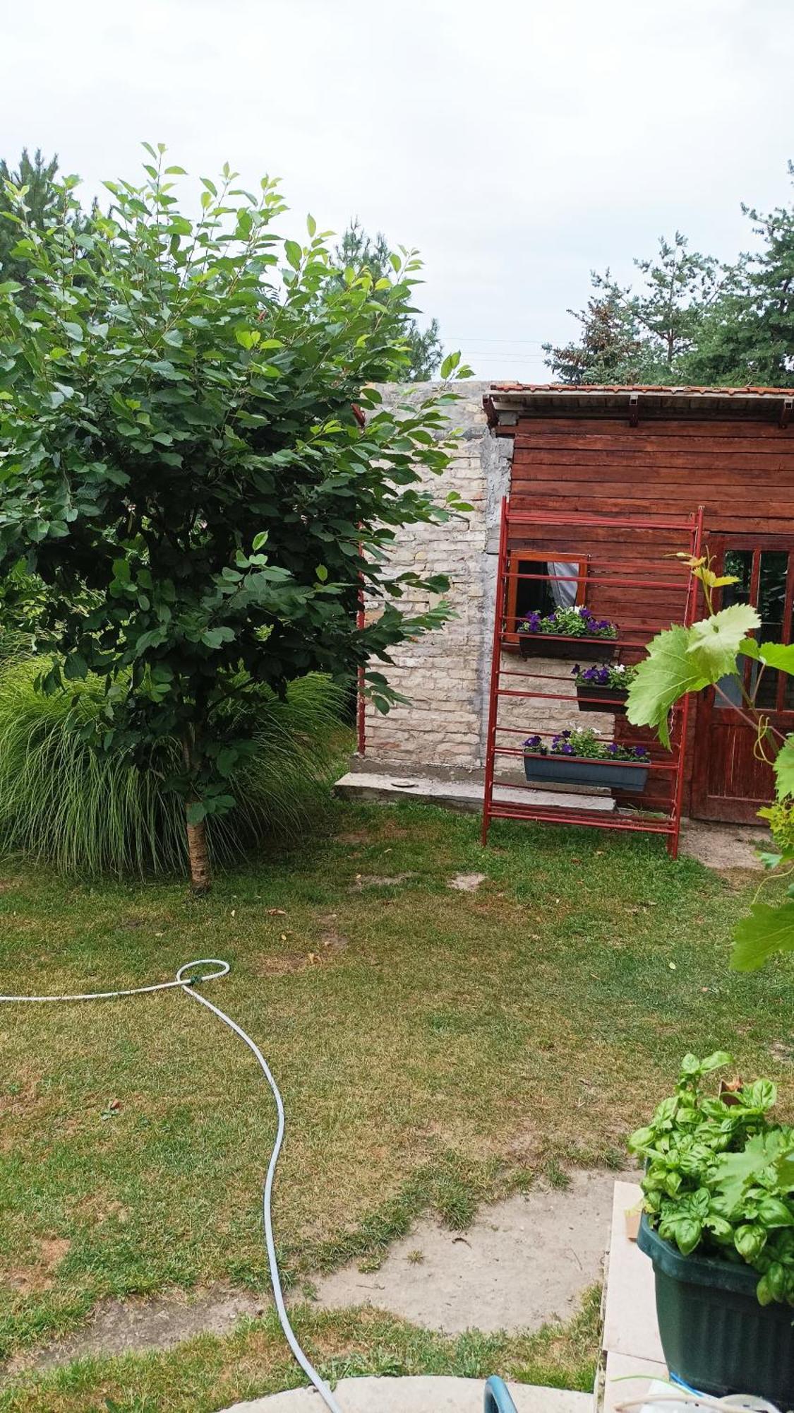 Maison d'hôtes Sobe Masa à Subotica Extérieur photo
